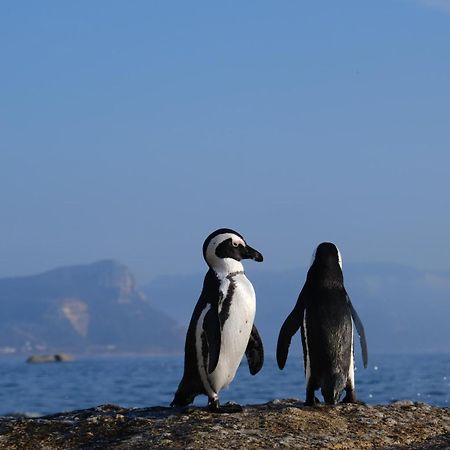Penguin Haven . Luxury 2 Bedroom, Boulders Beach. Kapsztad Zewnętrze zdjęcie