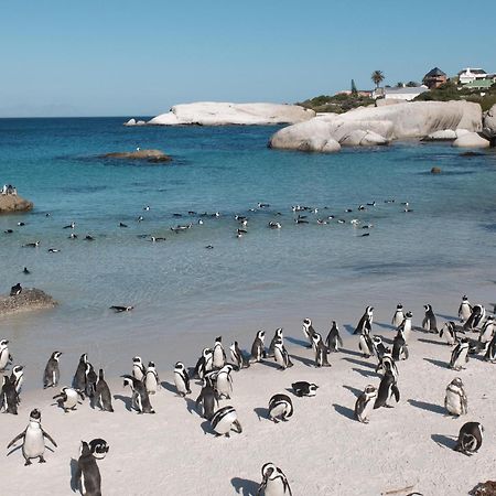 Penguin Haven . Luxury 2 Bedroom, Boulders Beach. Kapsztad Zewnętrze zdjęcie